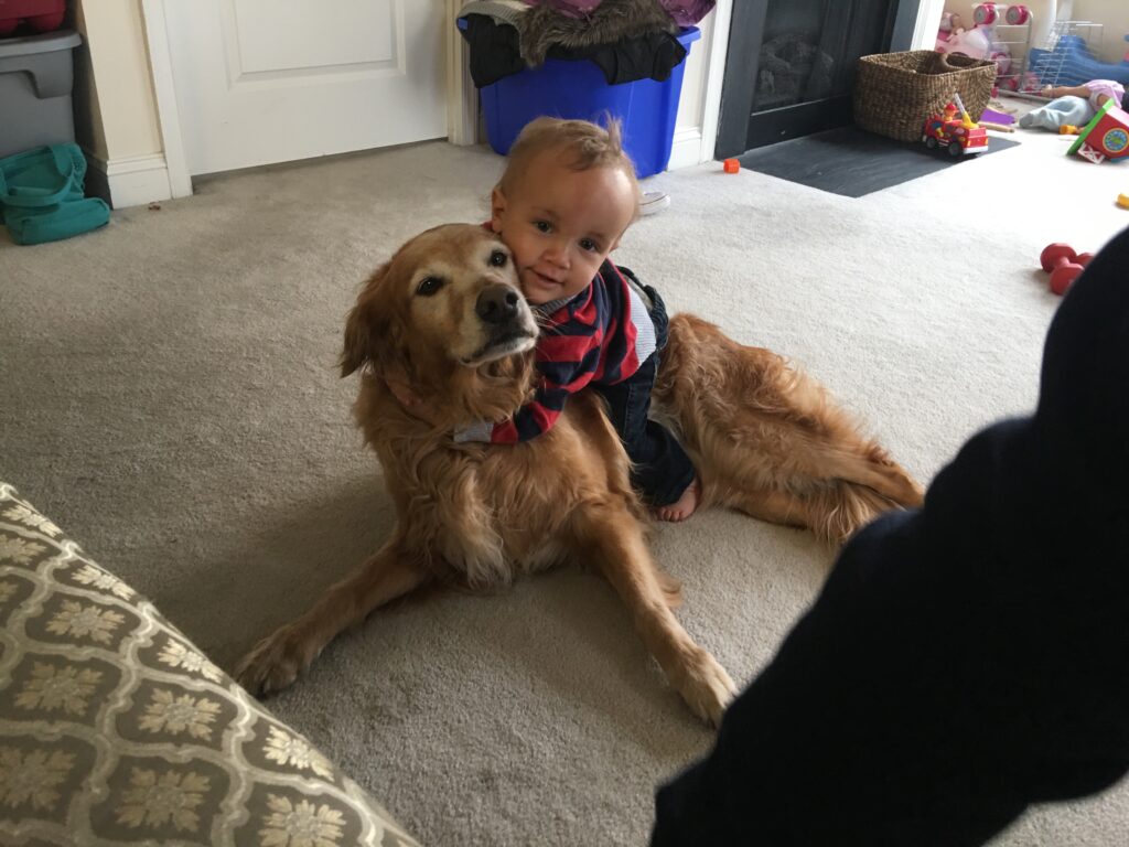 Chapman Riding Max in Living Room